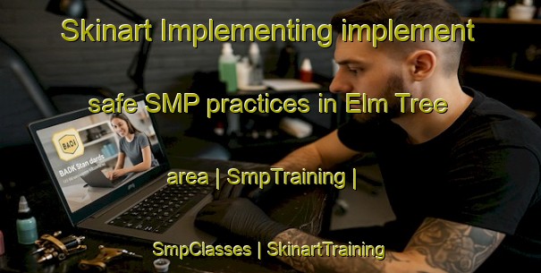 Skinart Implementing implement safe SMP practices in Elm Tree area | SmpTraining | SmpClasses | SkinartTraining-United States